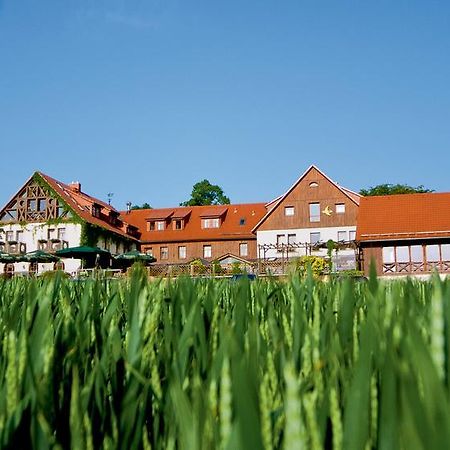 Hotel Neue Hoehe Klingenberg エクステリア 写真