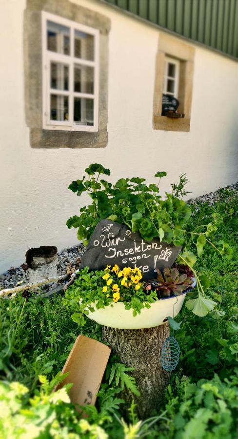 Hotel Neue Hoehe Klingenberg エクステリア 写真