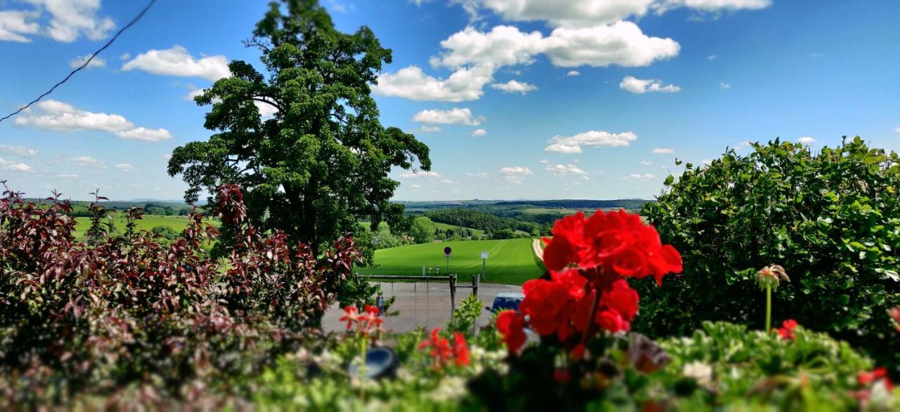 Hotel Neue Hoehe Klingenberg エクステリア 写真