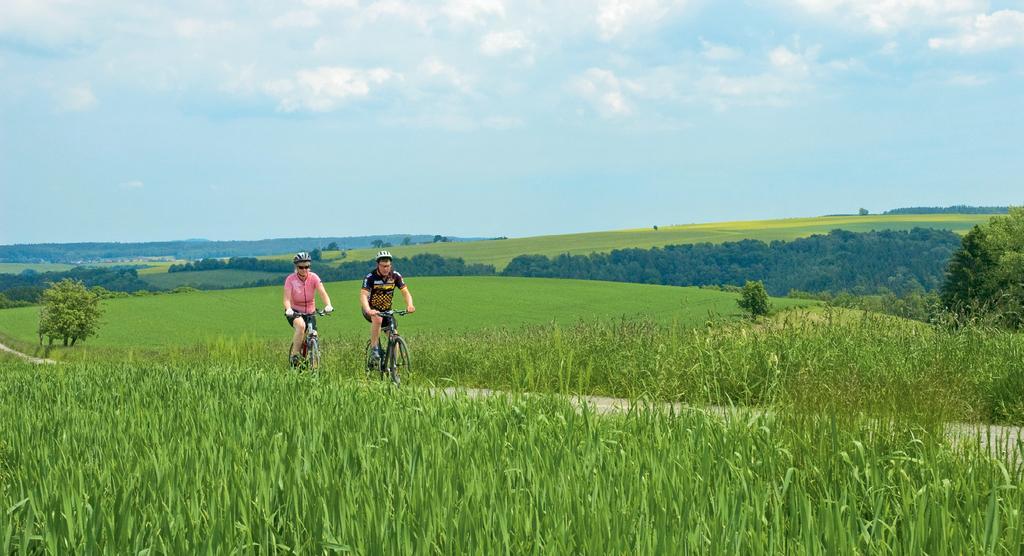 Hotel Neue Hoehe Klingenberg エクステリア 写真