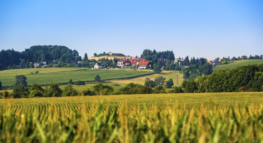 Hotel Neue Hoehe Klingenberg エクステリア 写真