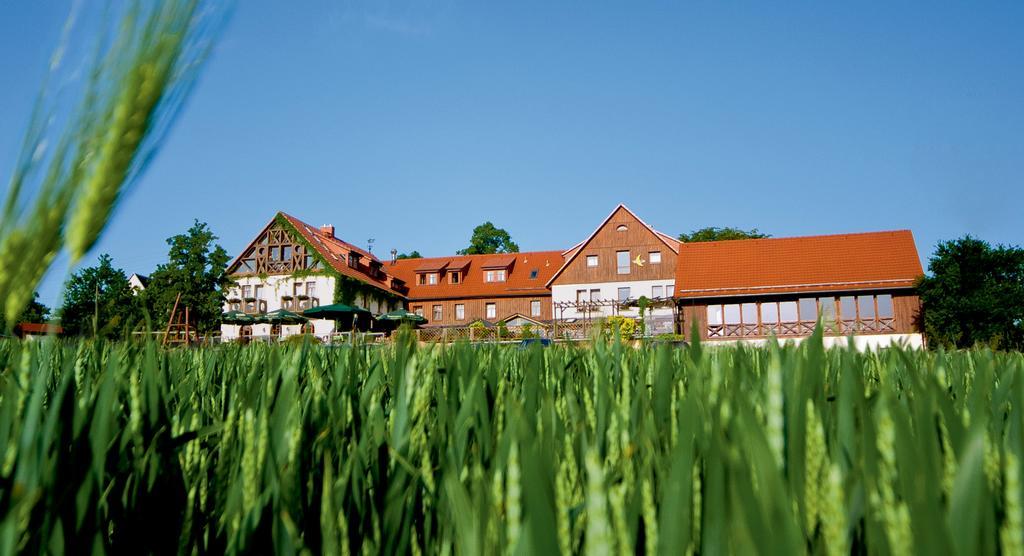Hotel Neue Hoehe Klingenberg エクステリア 写真